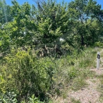 Земеделски имот в с. Ягодово, Област Пловдив -  кв.м за 10 €/дка - Снимка #1