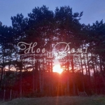 Къща в Варна, Галата - 380 кв.м за 1656 €/кв.м - Снимка #1