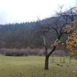 Парцел в Велинград - 1671 кв.м за 192 €/кв.м - Снимка #1