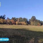 Земеделски имот в Батак -  кв.м за 30000 €/дка - Снимка #1