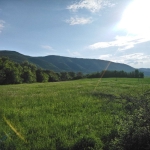 Парцел в с. Мулдава, Област Пловдив - 6400 кв.м за 9 €/кв.м - Снимка #1