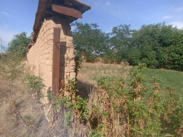 Парцел в с. Чоба, Област Пловдив - 1540 кв.м за 4 €/кв.м - Снимка #1