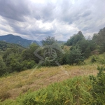 Парцел в с. Мостово, Област Пловдив - 4621 кв.м за 15 €/кв.м - Снимка #1