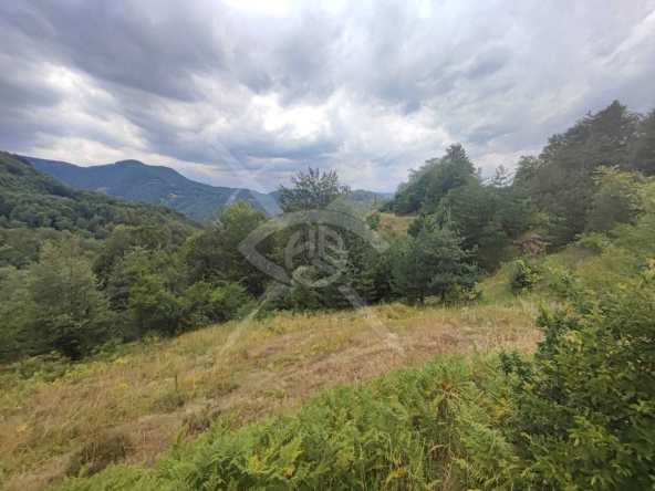 Парцел в с. Мостово, Област Пловдив - 4621 кв.м за 15 €/кв.м - Снимка #1