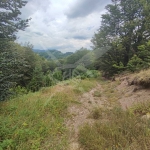 Парцел в с. Мостово, Област Пловдив - 2081 кв.м за 16 €/кв.м - Снимка #1