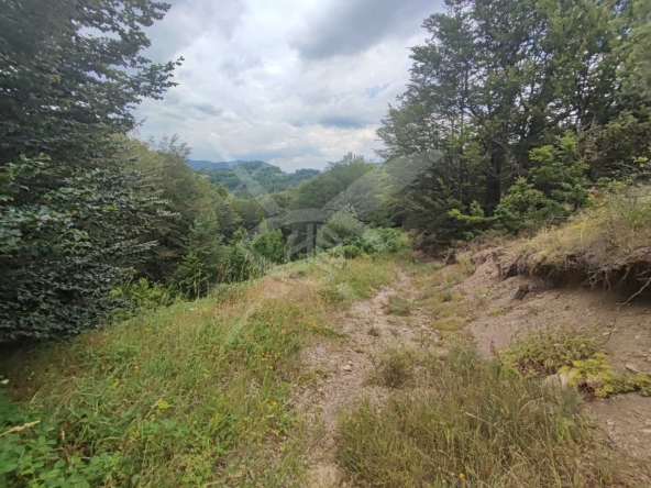 Парцел в с. Мостово, Област Пловдив - 2081 кв.м за 16 €/кв.м - Снимка #1