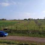 Земеделски имот в Болярово -  кв.м за 2354 €/дка - Снимка #1