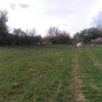 Парцел в с. Байкалско, Област Перник - 4011 кв.м за 3 €/кв.м - Снимка #1