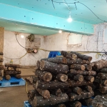 Дава се под наем Промишлена сграда в с. Яхиново, Област Кюстендил - 120 кв.м за 765 € - Снимка #1