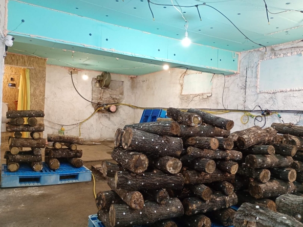 Дава се под наем Промишлена сграда в с. Яхиново, Област Кюстендил - 120 кв.м за 765 € - Снимка #1