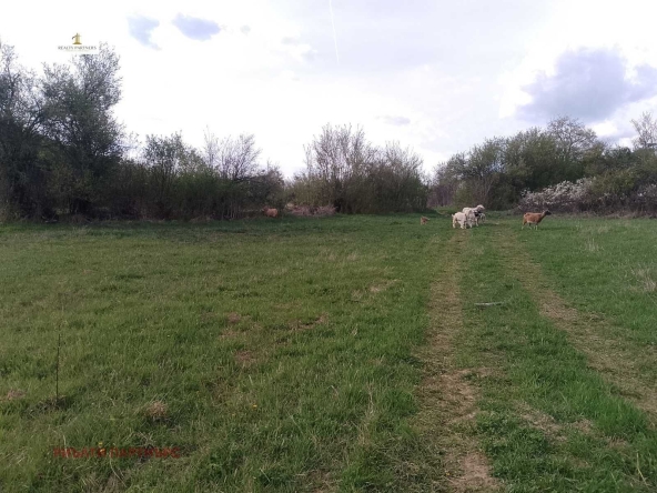 Парцел в с. Байкалско, Област Перник - 4011 кв.м за 2 €/кв.м - Снимка #1