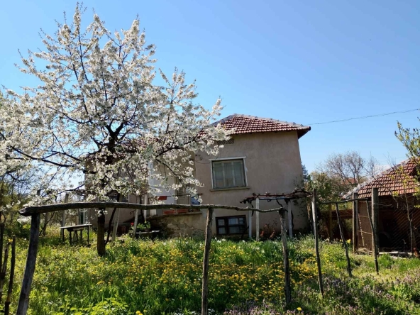 Къща в с. Замфирово, Област Монтана - 70 кв.м за 183 €/кв.м - Снимка #1