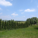 Парцел в София, в.з. Симеоново - Драгалевци - 530 кв.м за 66 €/кв.м - Снимка #1