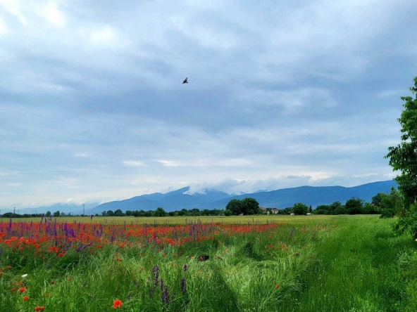 Парцел в с. Крумово, Област Пловдив - 695 кв.м за 63 €/кв.м - Снимка #1