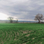 Парцел в с. Кривня, Област Варна - 2300 кв.м за 12 €/кв.м - Снимка #1