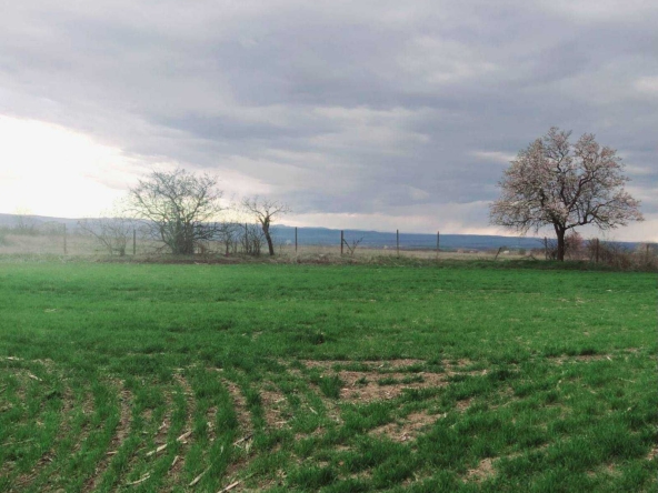 Парцел в с. Кривня, Област Варна - 2300 кв.м за 12 €/кв.м - Снимка #1