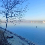 Парцел в с. Константиново, Област Варна - 18500 кв.м за 7 €/кв.м - Снимка #1