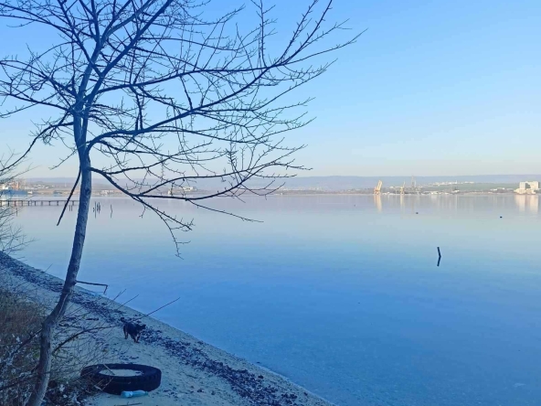 Парцел в с. Константиново, Област Варна - 18500 кв.м за 7 €/кв.м - Снимка #1