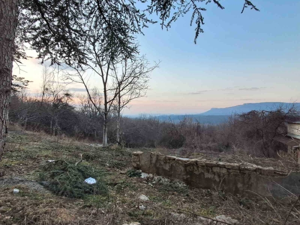 Парцел в с. Янковци, Област Габрово - 627 кв.м за 27 €/кв.м - Снимка #1