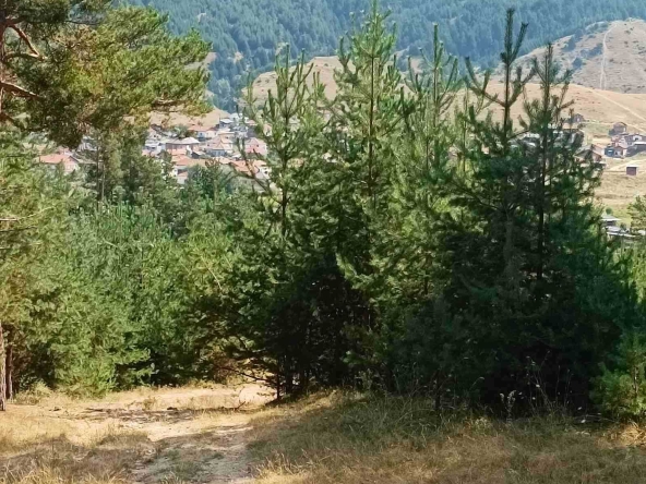 Парцел в с. Баня, Област Благоевград - 4840 кв.м за 15 €/кв.м - Снимка #1