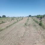 Земеделски имот в с. Марково, Област Пловдив -  кв.м за 50030 €/дка - Снимка #1