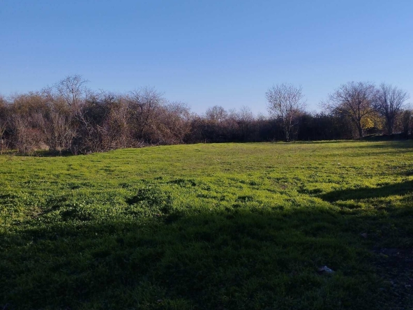 Парцел в с. Левски, Област Варна - 900 кв.м за 43 €/кв.м - Снимка #1