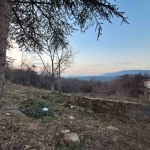 Парцел в с. Янковци, Област Габрово - 627 кв.м за 27 €/кв.м - Снимка #1