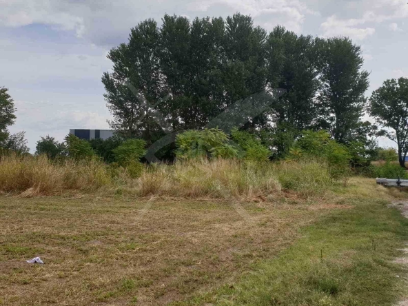 Парцел в с. Ягодово, Област Пловдив - 1852 кв.м за 41 €/кв.м - Снимка #1