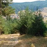 Парцел в с. Баня, Област Благоевград - 4840 кв.м за 7 €/кв.м - Снимка #1