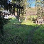 Парцел в с. Крумово, Област Варна - 1000 кв.м за 20 €/кв.м - Снимка #1