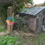 Парцел в с. Долище, Област Варна - 1000 кв.м за 41 €/кв.м - Снимка #1