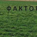 Парцел в с. Свобода, Област Пазарджик - 14500 кв.м за 1 €/кв.м - Снимка #1