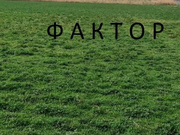 Парцел в с. Свобода, Област Пазарджик - 14500 кв.м за 1 €/кв.м - Снимка #1