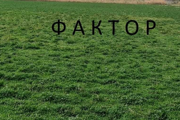 Парцел в с. Свобода, Област Пазарджик - 14500 кв.м за 1 €/кв.м - Снимка #1