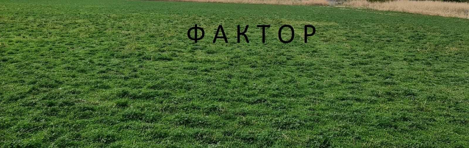 Парцел в с. Свобода, Област Пазарджик - 14500 кв.м за 1 €/кв.м - Снимка #1