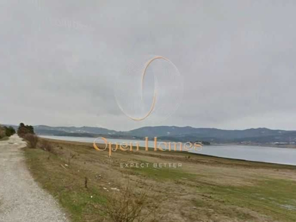 Земеделски имот в Батак -  кв.м за 25 €/дка - Снимка #1