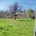 Парцел в Варна, Изгрев - 1023 кв.м за 49 €/кв.м - Снимка #1