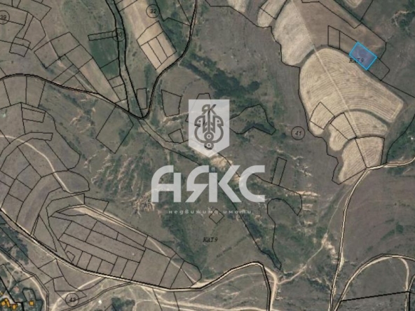 Парцел в с. Сапарево, Област Кюстендил - 1603 кв.м за 24 €/кв.м - Снимка #1
