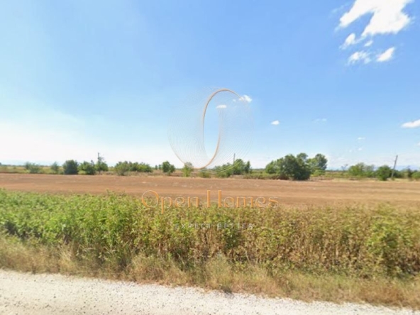 Парцел в с. Граф Игнатиево, Област Пловдив - 2000 кв.м за 14 €/кв.м - Снимка #1