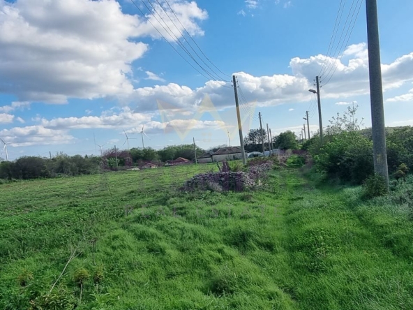 Парцел в с. Поручик Чунчево, Област Добрич - 4310 кв.м за 5 €/кв.м - Снимка #1