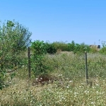 Парцел в Велико Търново, Картала - 2696 кв.м за 7 €/кв.м - Снимка #1