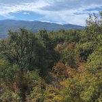 Парцел в с. Храбрино, Област Пловдив - 490 кв.м за 41 €/кв.м - Снимка #1