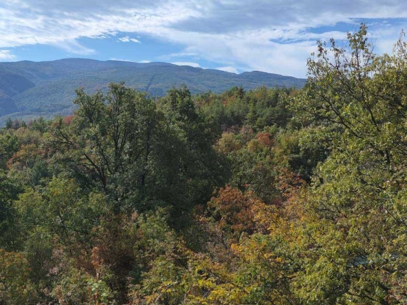 Парцел в с. Храбрино, Област Пловдив - 490 кв.м за 41 €/кв.м - Снимка #1