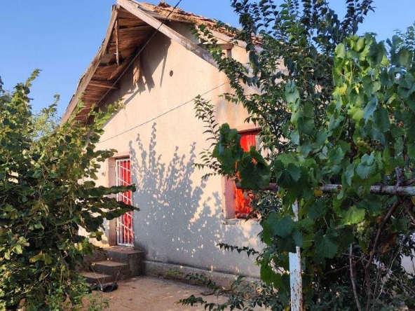 Къща в с. Полковник Минково, Област Добрич - 54 кв.м за 543 €/кв.м - Снимка #1