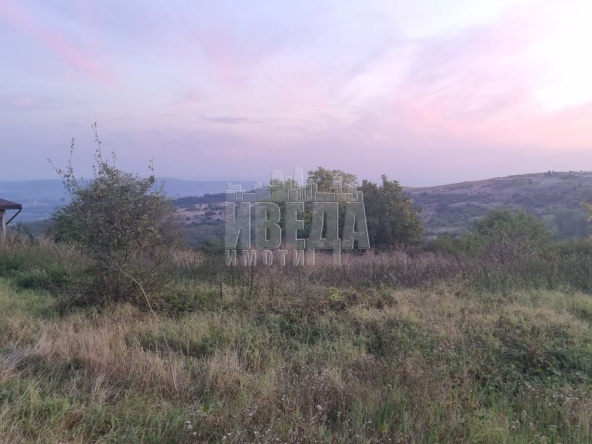 Парцел в с. Калиманци, Област Варна - 2500 кв.м за 24 €/кв.м - Снимка #1