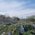 Парцел в Разград, Център - 8457 кв.м за 19 €/кв.м - Снимка #1