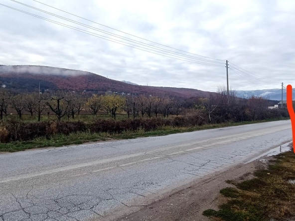 Парцел в с. Бяга, Област Пазарджик - 1863 кв.м за 19 €/кв.м - Снимка #1