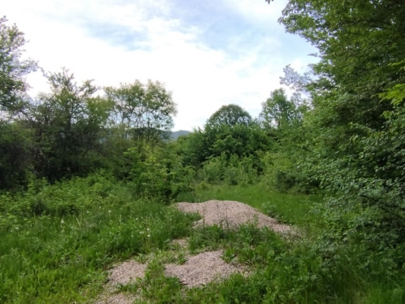 Парцел в Правец - 855 кв.м за 26 €/кв.м - Снимка #1