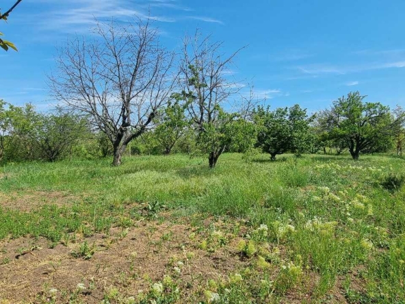 Парцел в Разград, Промишлена зона - Запад - 895 кв.м за 29 €/кв.м - Снимка #1