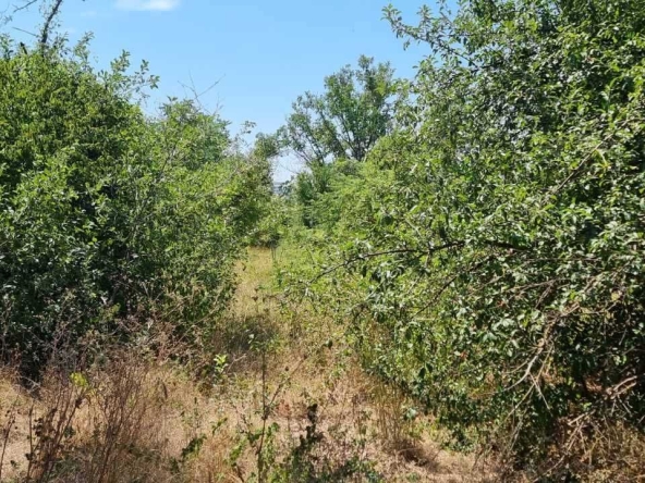 Парцел в Разград, Промишлена зона - Запад - 800 кв.м за 75 €/кв.м - Снимка #1